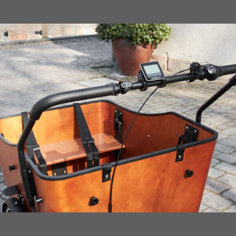 AMCargo Ultimate Harmony Electric Cargo Bike