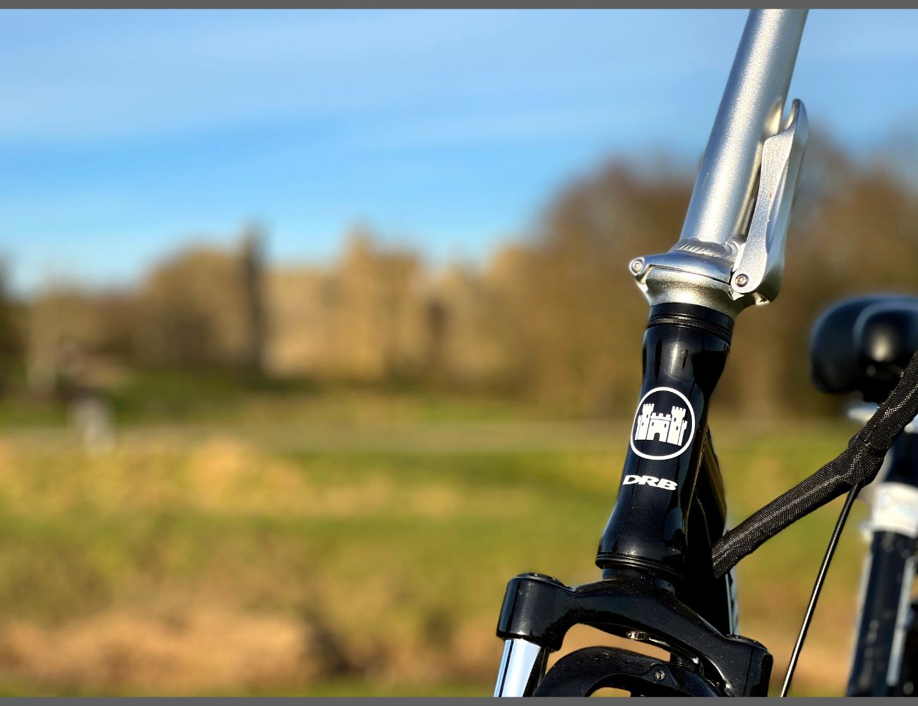 Dallingridge Oxford Folding E-Bike Black