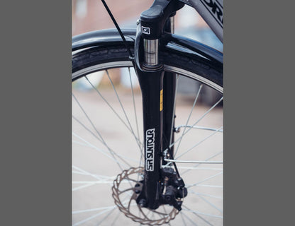 Dallingridge Harlow 14Ah Hybrid Step Through Everyday E-Bike Silver EB700FHW-V2